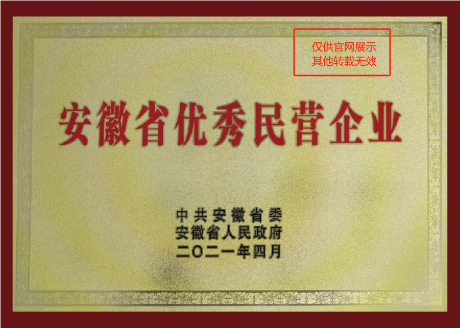 安(ān)徽優秀民(mín)營企業